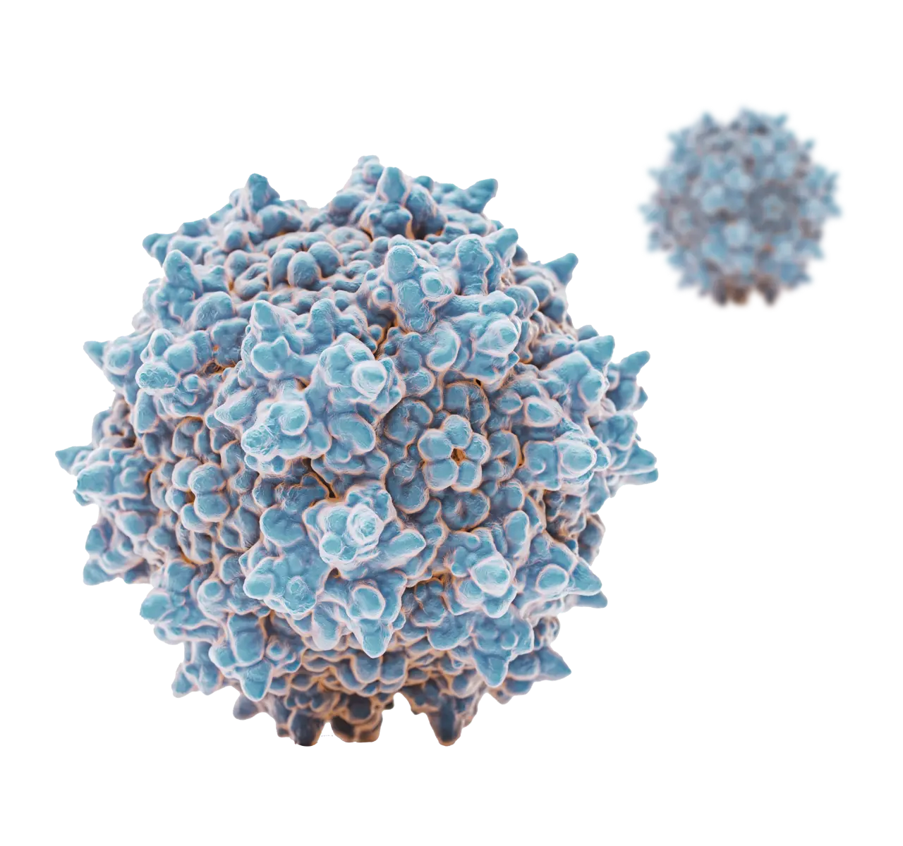 Illustration of an AAV capsid