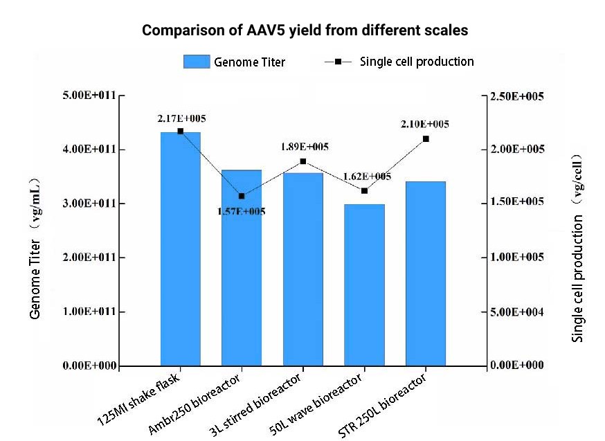 Comparison of AAV5 yield from different scales