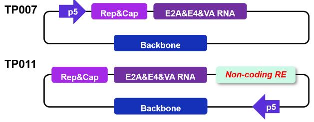 Figure-6.-Non-rcAAV-design-of-packing-plasmids-for-dual-plasmid-system