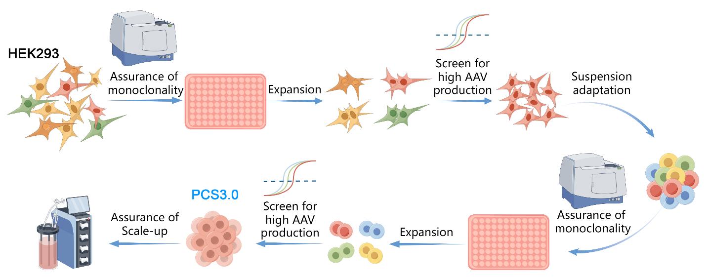 Overview-of-PCS3.0-cell-line-development
