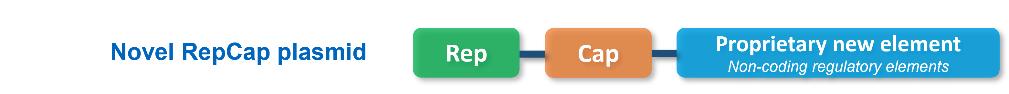 novel-repcap-plasmid