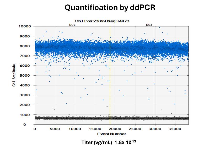 Quantification-by-ddPCR