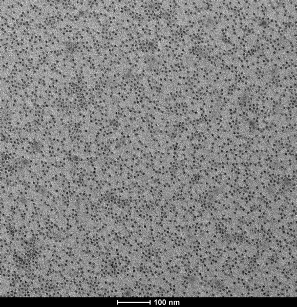 Ferritin negative staining TEM results