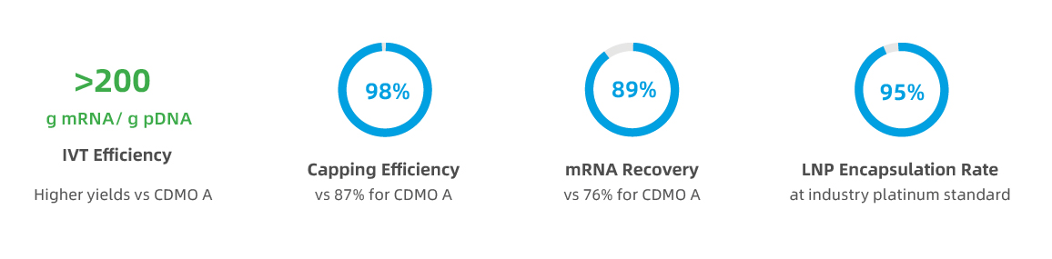 Performance-of-PackGene‘s-GMP-mRNA-One-Stop-Shop