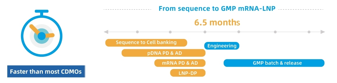 Speed-of-PackGene‘s-GMP-mRNA-One-Stop-Shop-2