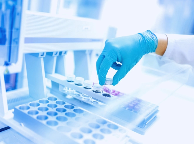 Gene to Lentivirus Service