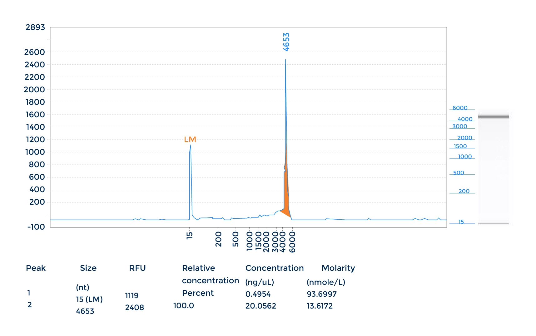 AAV genome integrity analysis by CE