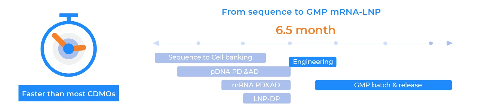 CDMO-mRNA