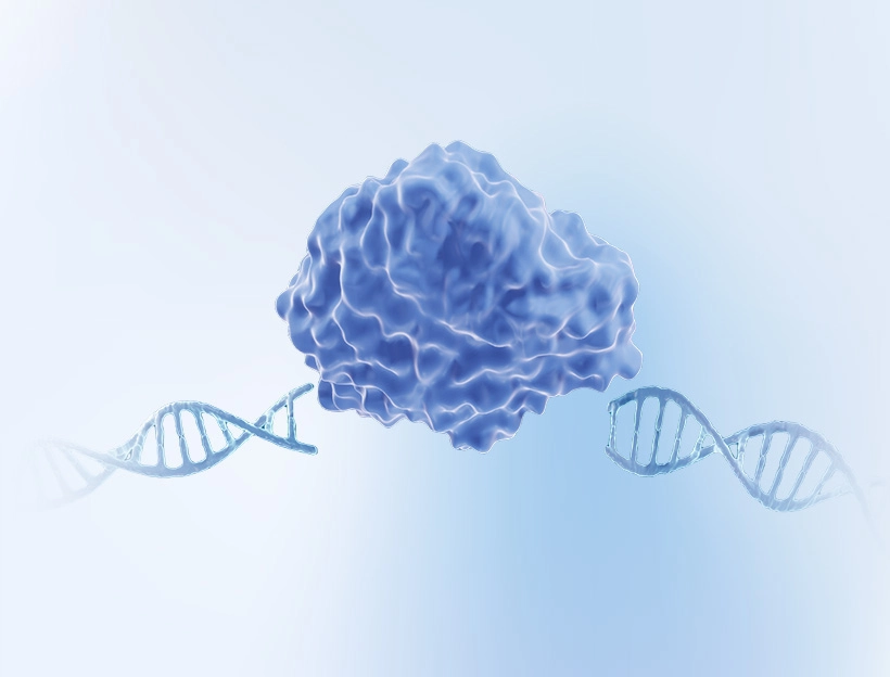 CRISPR AAV