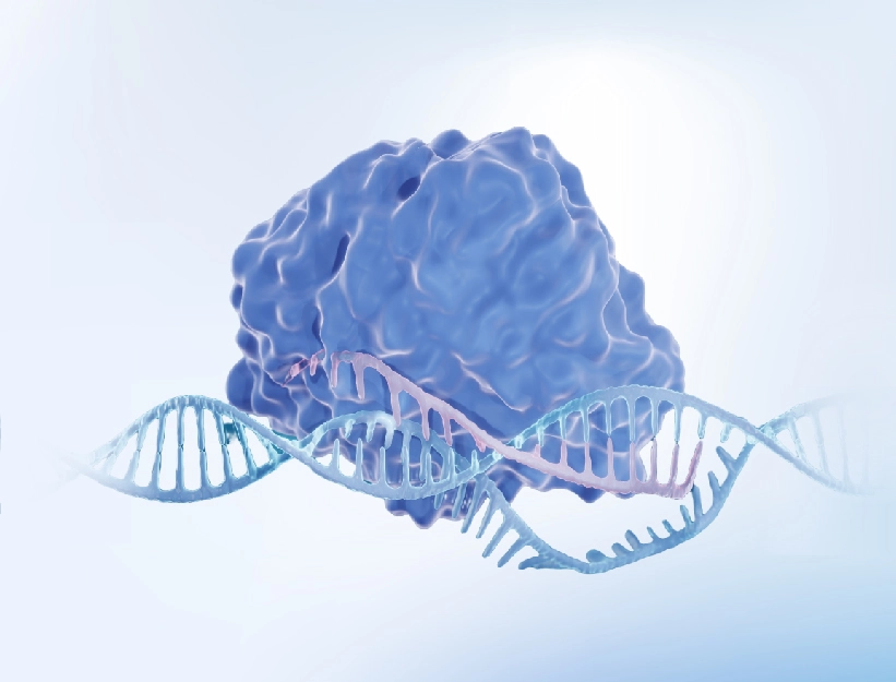 Custom mRNA-LNP2