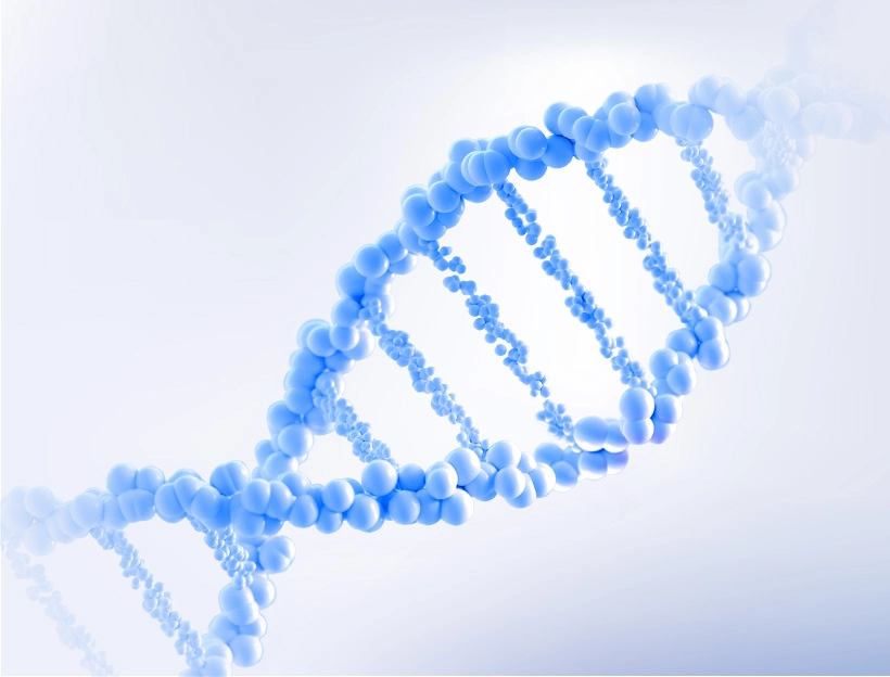 Plasmid prep-preclinical