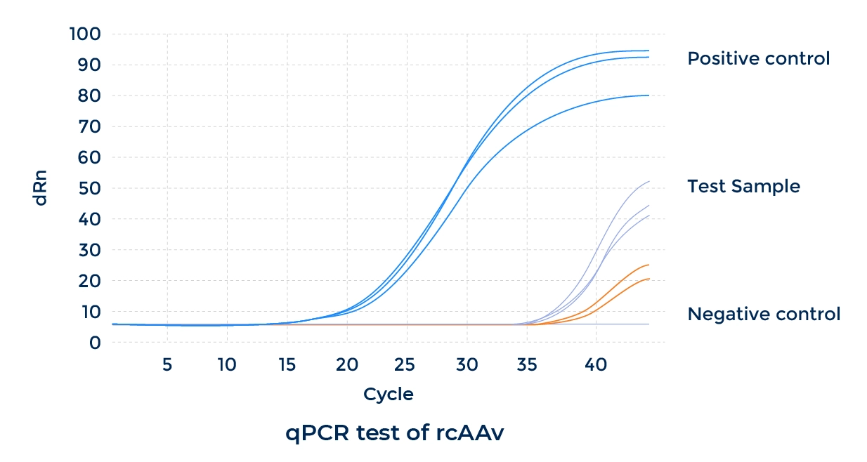 Replication Competent AAV (rcAAV) Analysis