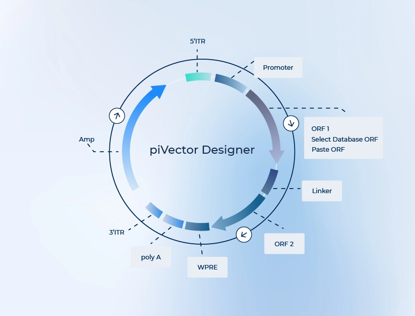 piVector Designer