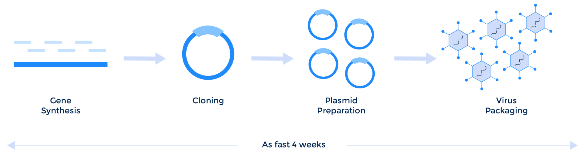 Express Gene-to-Lentivirus Service (1)