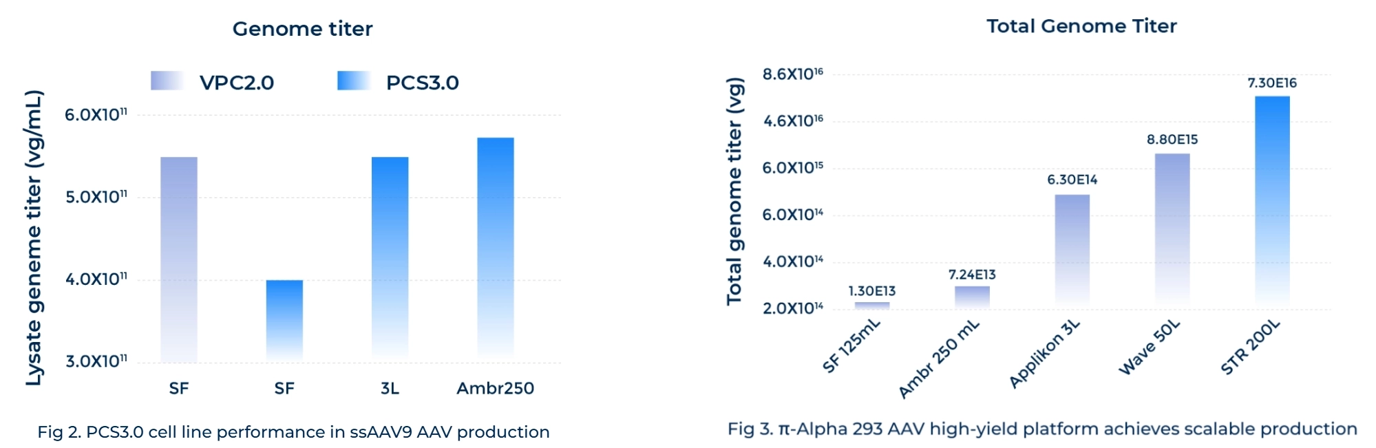 Enhanced-Productivity-and-Scalability