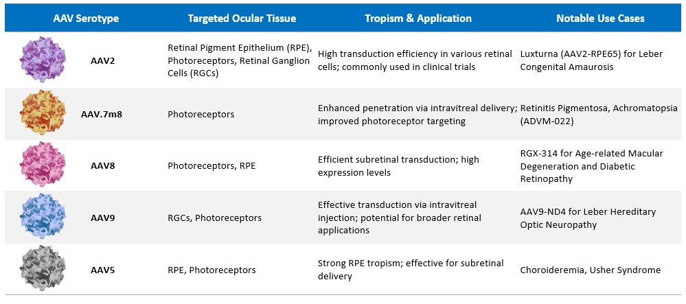 AAV serotypes and tissue tropism
