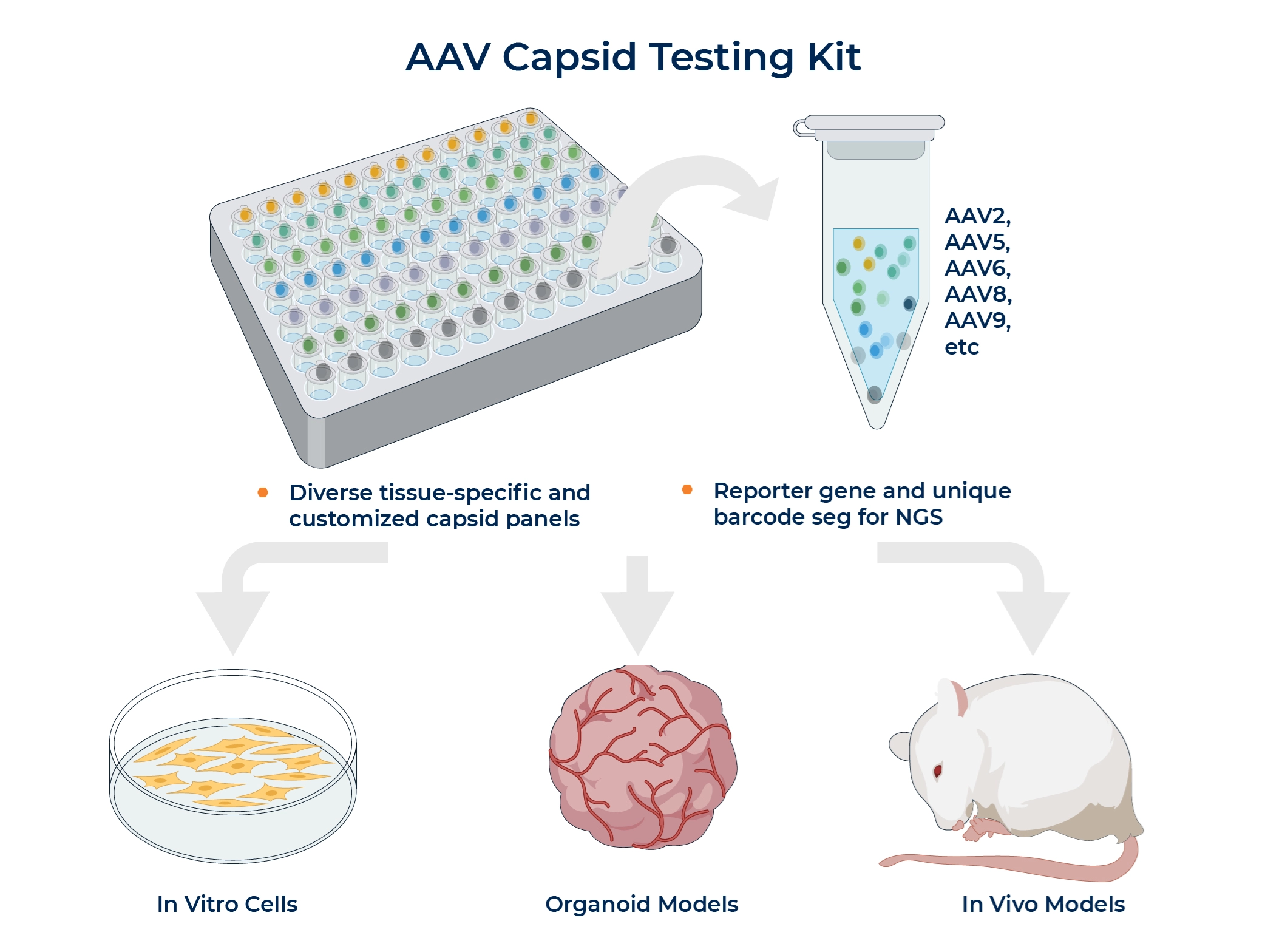 AAV Capsid Testing Kit