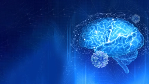 Dual-AAV Gene Therapy Corrects Dravet Syndrome in Mice