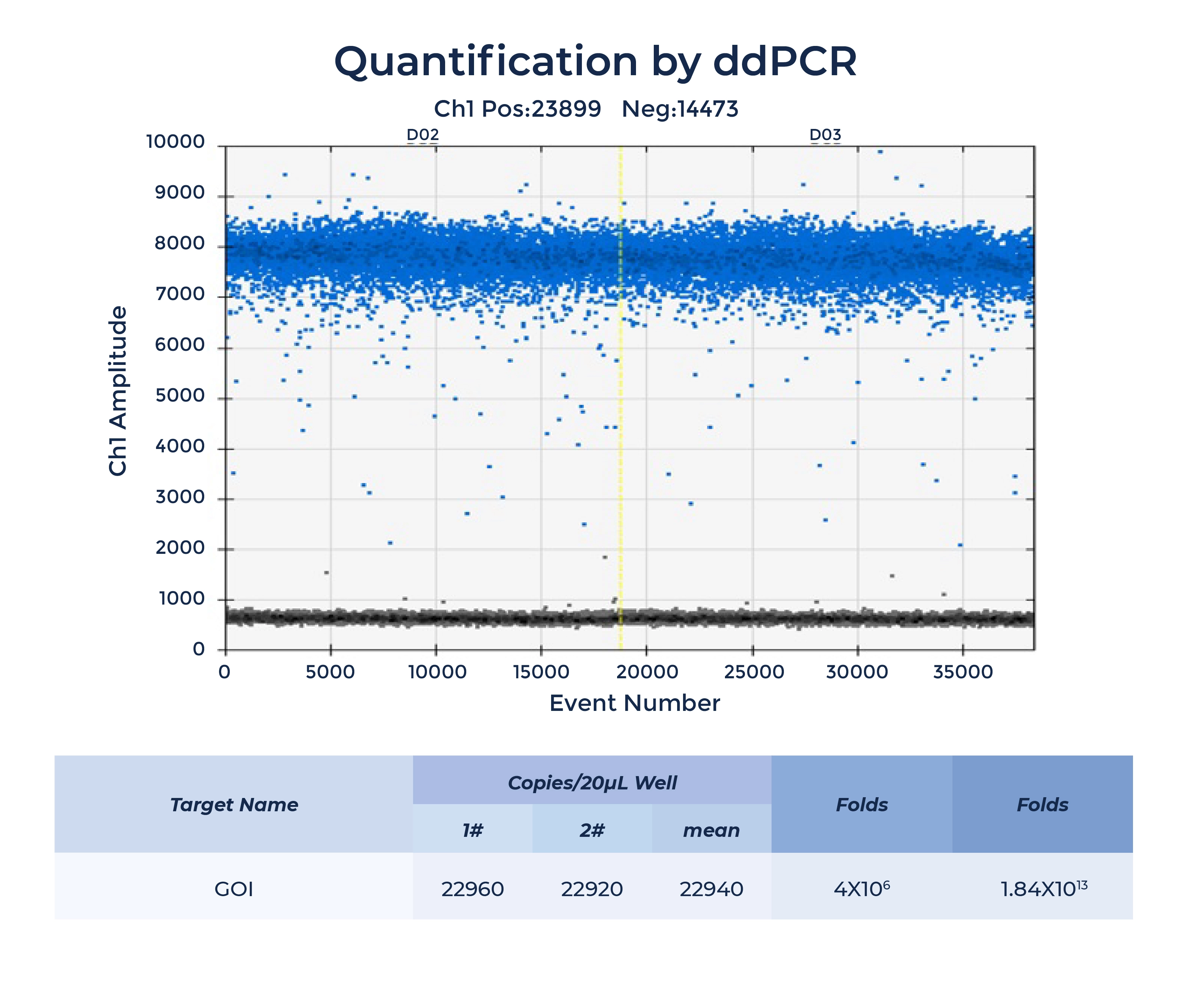 Quantification by ddRCR