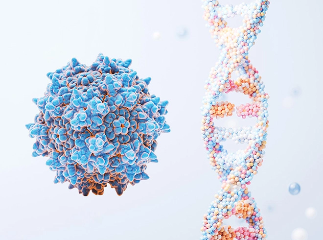 Express gene to AAV