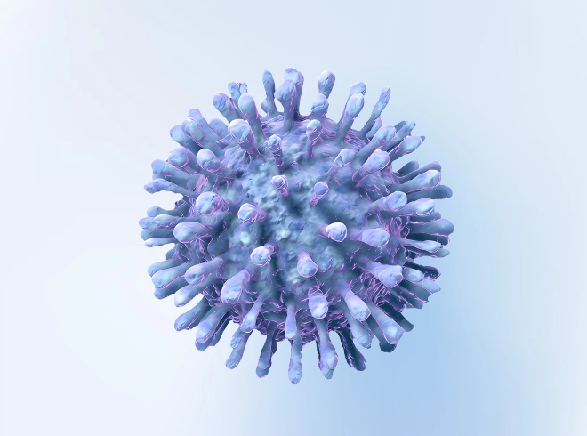 Lentivirus packaging Services