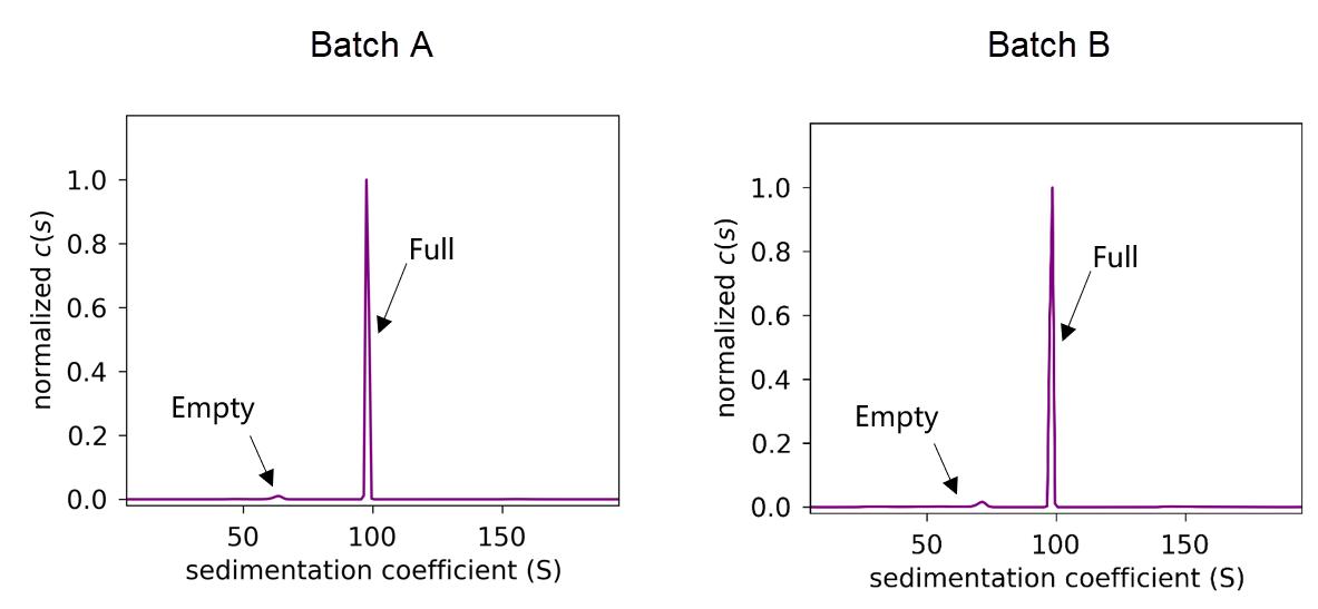 Empty-Full Capsid Ratio by AU
