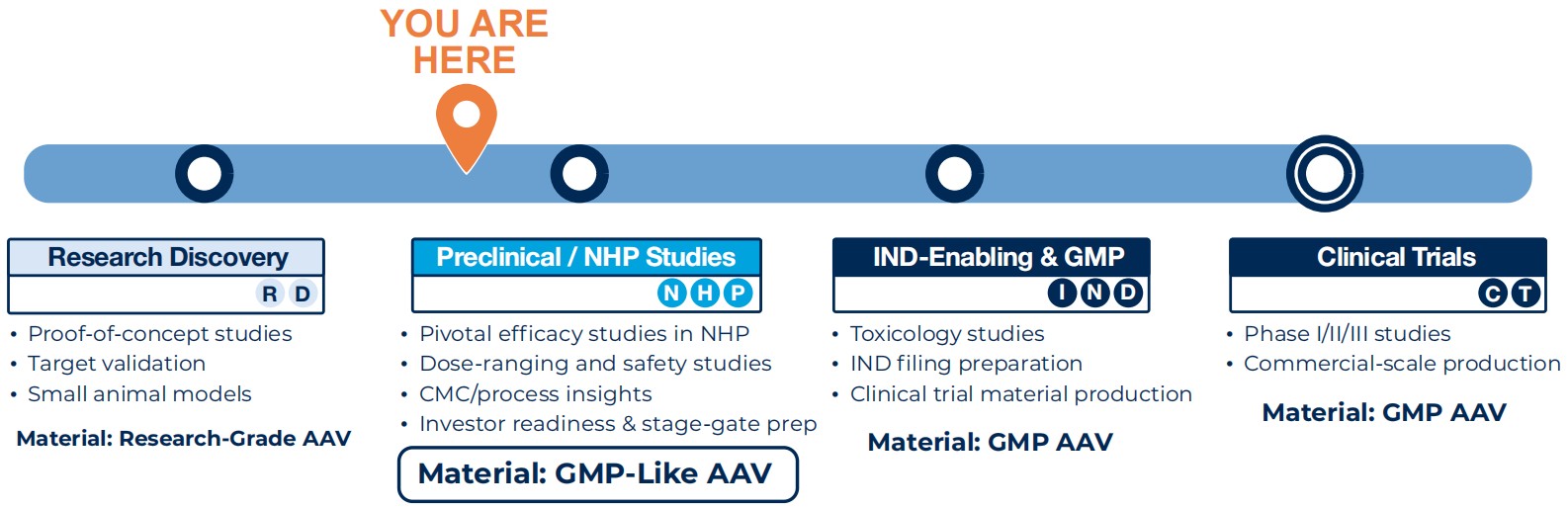 From Research to Clinic
