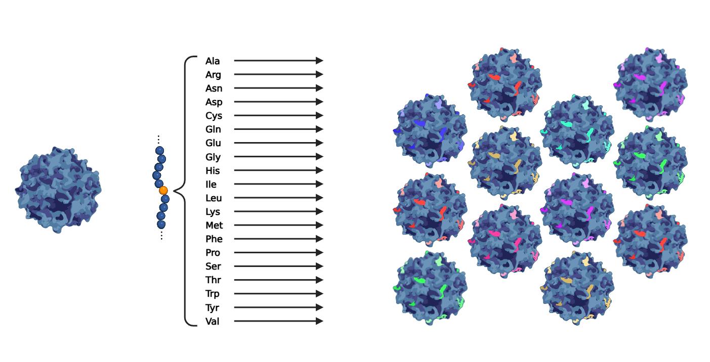 Saturation Scanning Library